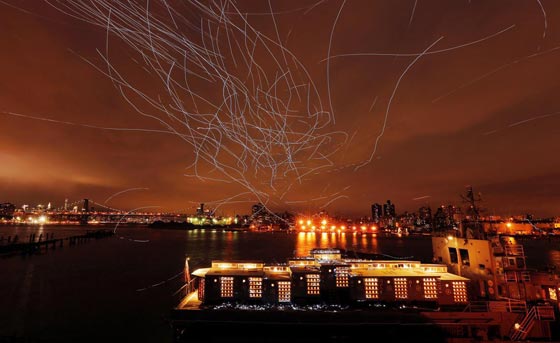 صور طيور الحمام تضيء سماء نيويورك صورة رقم 2