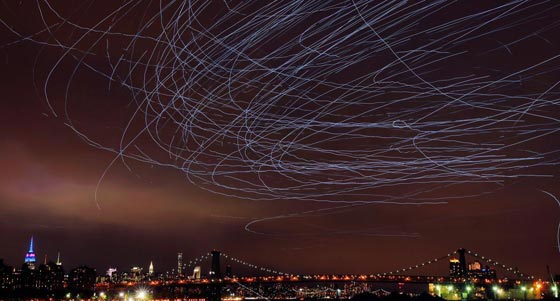 صور طيور الحمام تضيء سماء نيويورك صورة رقم 3