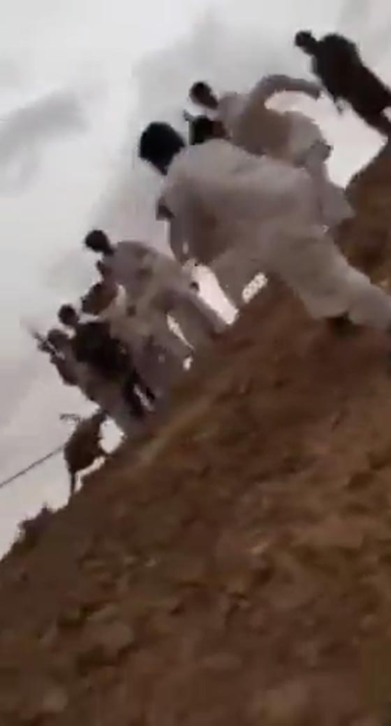 فيديو يظهر 10 شبان سعوديين يحاولون اصطياد حيوان نادر ومفترس صورة رقم 4 فيديو يظهر 10 شبان سعوديين يحاولون اصطياد حيوان نادر ومفترس صورة رقم 4