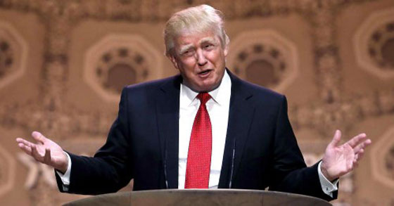 مع اقترابه من البيت الابيض.. الاسرار العميقة لترامب تطفو على السطح صورة رقم 10