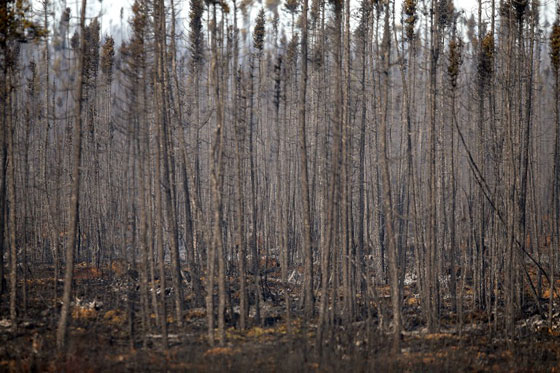 الحريق الوحش في كندا يظهر من الفضاء ولا يزال يستعر منذ 9 ايام صورة رقم 11