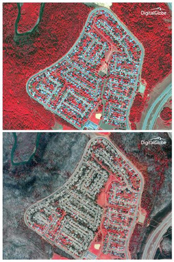 حريق كندا الوحش لا زال مستعرا.. شاهد صور القمر الصناعي قبل وبعد صورة رقم 4