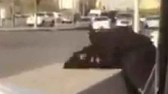 فيديو مخجل.. معركة شرسة بين محجبتين خليجيتين في الشارع العام  صورة رقم 1