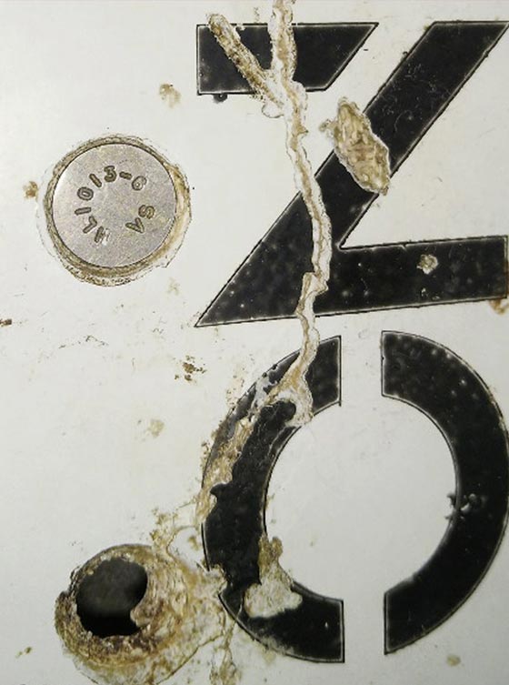 حطام طائرة يعيد الماليزية المفقودة الى العناوين صورة رقم 4