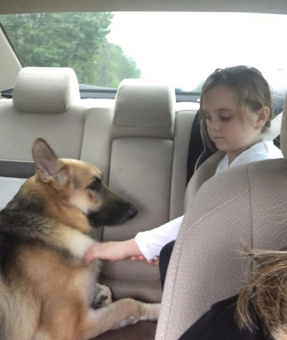 قصة وفاء نادرة.. كلب ينقذ صاحبته الطفلة من انياب افعى مضحيا بحياته صورة رقم 5