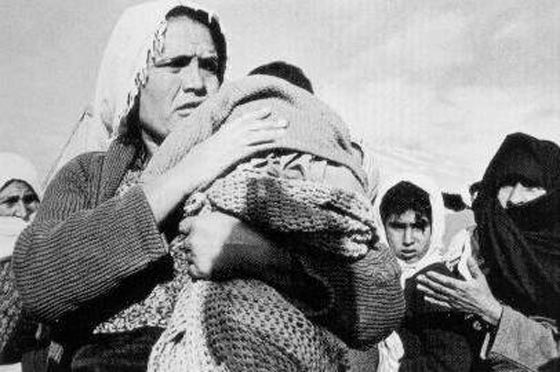 عدد الفلسطينيين في العالم تضاعف 9 مرات منذ نكبة 1948 صورة رقم 5