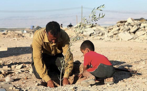عدد الفلسطينيين في العالم تضاعف 9 مرات منذ نكبة 1948 صورة رقم 14