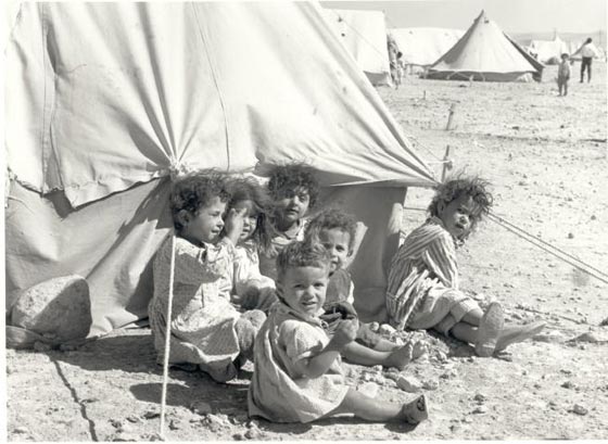 عدد الفلسطينيين في العالم تضاعف 9 مرات منذ نكبة 1948 صورة رقم 11