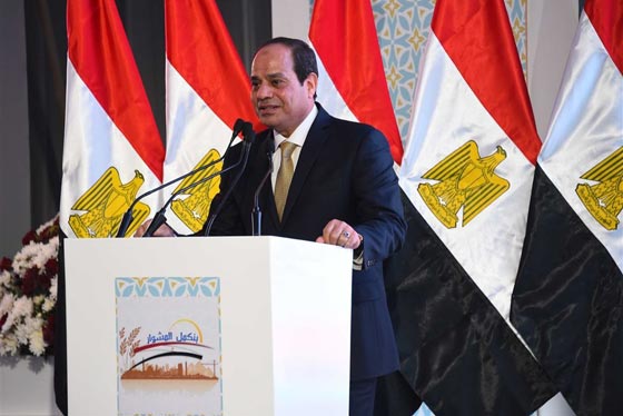 مبادرة السيسي السلامية تلقى اهتماما في اسرائيل وهذا ما كمن وراءها صورة رقم 1