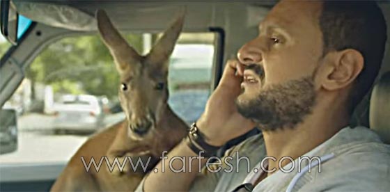 بعد فشل فيلم (كنغر حبنا): رامز جلال في حالة نفسية سيئة صورة رقم 8
