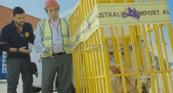 بعد فشل فيلم (كنغر حبنا): رامز جلال في حالة نفسية سيئة صورة رقم 10