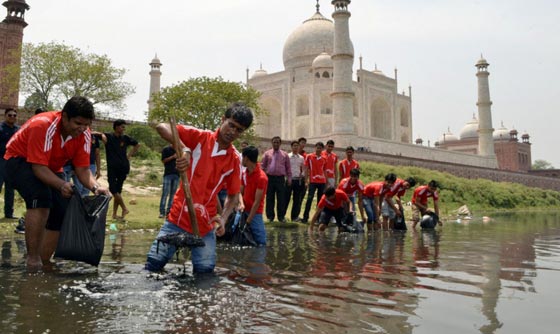 ملايين الحشرات تهاجم تاج محل.. لهذا السبب صورة رقم 1