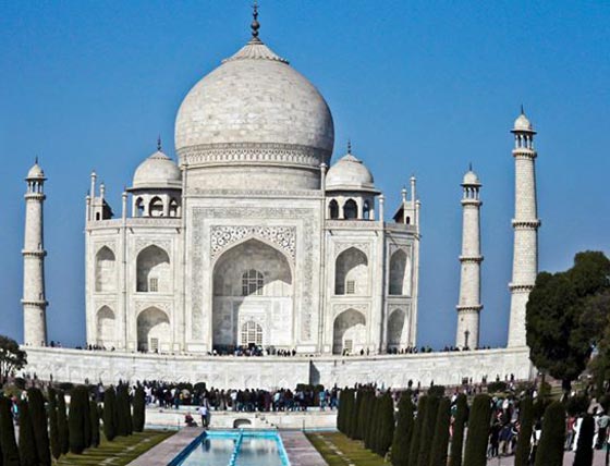 ملايين الحشرات تهاجم تاج محل.. لهذا السبب صورة رقم 3