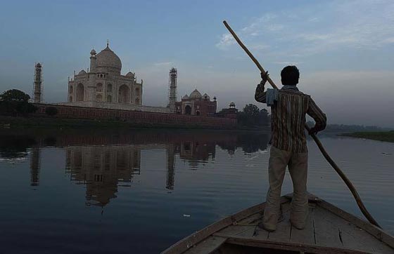 ملايين الحشرات تهاجم تاج محل.. لهذا السبب صورة رقم 4