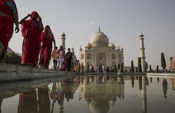 ملايين الحشرات تهاجم تاج محل.. لهذا السبب صورة رقم 5