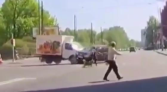  فيديو مثير.. نجاة امرأة وكلبيها باعجوبة من حادث رهيب صورة رقم 1