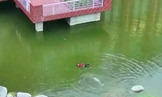  فيديو مروع.. غرق طفلين في مستنقع مياه وانشالهما بعد دقيقتين صورة رقم 1