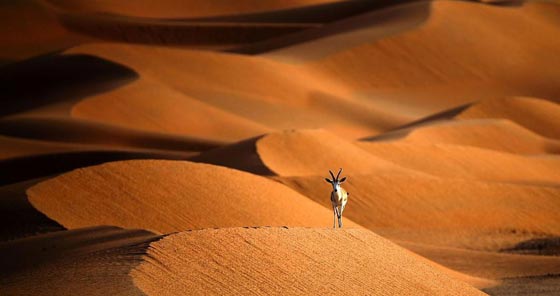 تحذير.. الشرق الاوسط وافريقيا لن تكون صالحة للعيش بعد 30 عاما صورة رقم 3