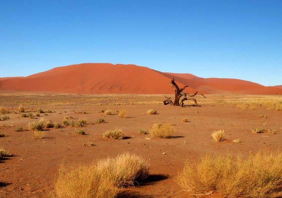 تحذير.. الشرق الاوسط وافريقيا لن تكون صالحة للعيش بعد 30 عاما صورة رقم 5