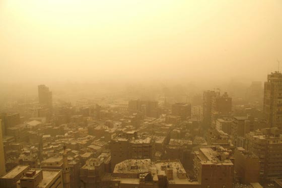 تحذير.. الشرق الاوسط وافريقيا لن تكون صالحة للعيش بعد 30 عاما صورة رقم 11