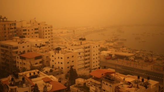 تحذير.. الشرق الاوسط وافريقيا لن تكون صالحة للعيش بعد 30 عاما صورة رقم 13