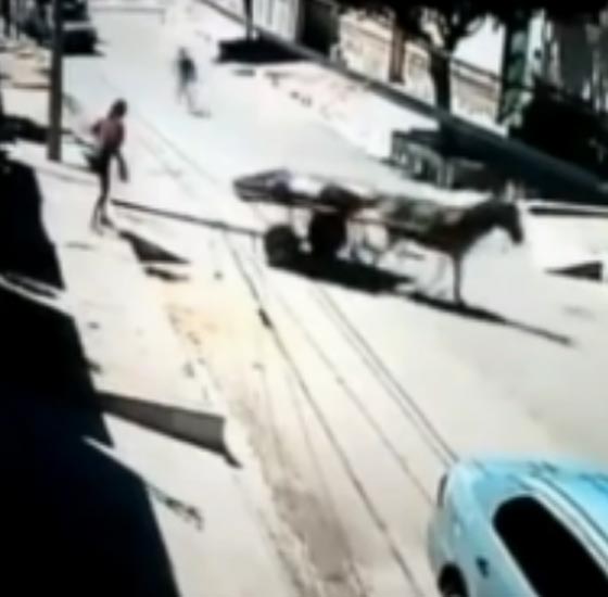 فيديو مروع.. حمار يفر بجثة رجل بعد اطلاق النار عليه صورة رقم 2