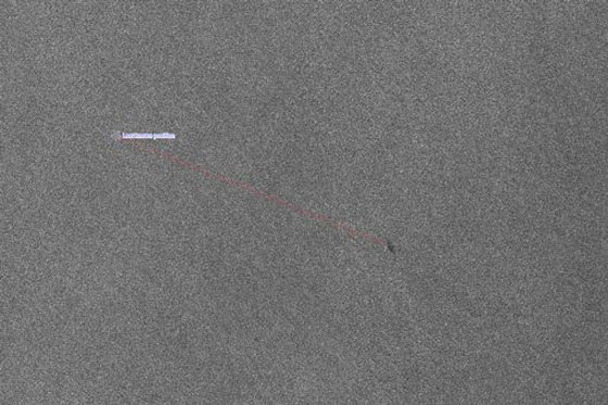 صور اولية لحطام الطائرة المصرية ومخلفات الضحايا من ركابها صورة رقم 11