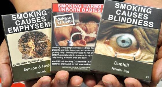 محاربة التدخين بصور صادمة على علب السجائر صورة رقم 5