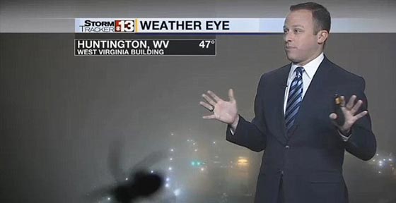 مذيع النشرة الجوية يصرخ فزعا من عنكبوت على الكاميرا.. فيديو صورة رقم 2