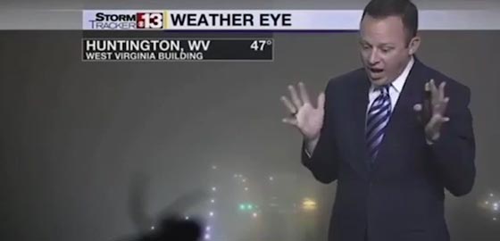 مذيع النشرة الجوية يصرخ فزعا من عنكبوت على الكاميرا.. فيديو صورة رقم 1