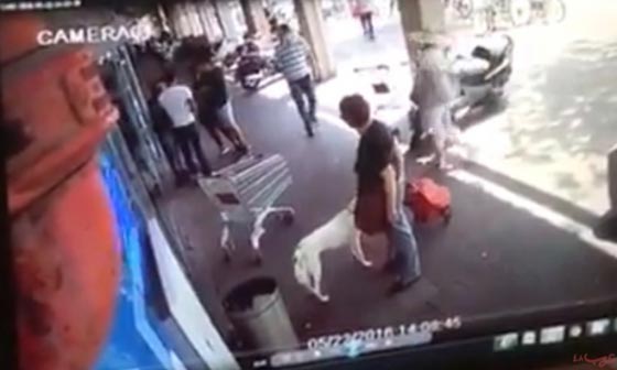 فيديو مثير.. افراد الشرطة يتحولون الى افراد عصابة ويعتدون على شاب عربي بتل ابيب صورة رقم 6 فيديو مثير.. افراد الشرطة يتحولون الى افراد عصابة ويعتدون على شاب عربي بتل ابيب صورة رقم 6