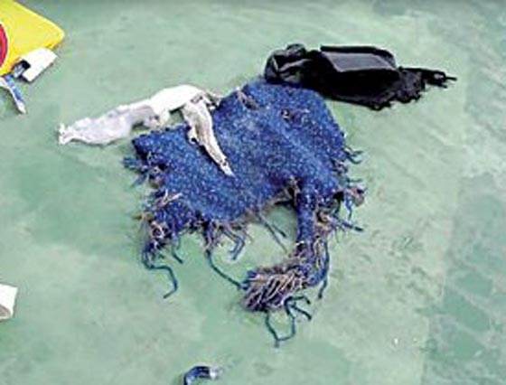 تحقيقات فرنسية.. لا وجود لآثار تفجير على رفات ضحايا الطائرة المصرية صورة رقم 3