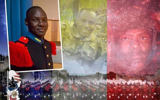 تحطم الطائرة المصرية هدم احلام ركابها وترك قصصا مؤثرة صورة رقم 10