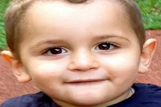 تحطم الطائرة المصرية هدم احلام ركابها وترك قصصا مؤثرة صورة رقم 16