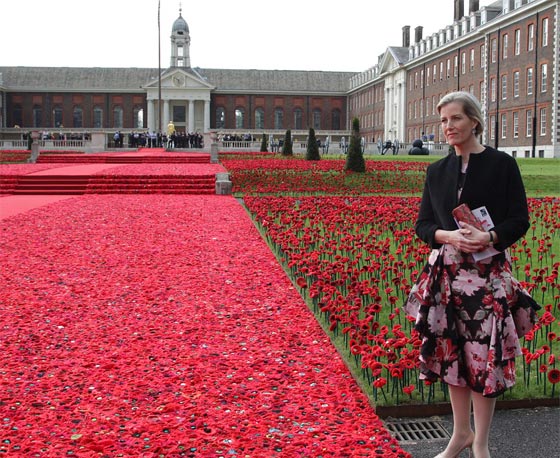 عروض الورود في جلسي تحظى بزيارة خاصة من العائلة الملكية صورة رقم 20