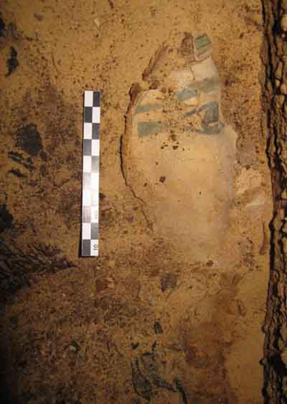 ظهور مومياء في مصر لسيدة عاشت قبل اربعة الاف عام!! صورة رقم 1