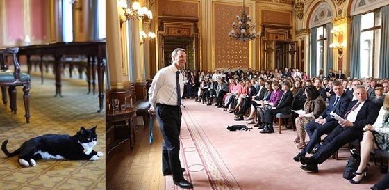 قط مثير للجدل في الخارجية البريطانية.. صائد فئران ام جاسوس؟ صورة رقم 2