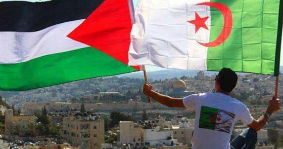  ام فلسطينية تسامح قاتل ابنها لانه من بلد المليون شهيد الداعم لقضيتها صورة رقم 2