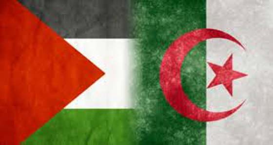  ام فلسطينية تسامح قاتل ابنها لانه من بلد المليون شهيد الداعم لقضيتها صورة رقم 3