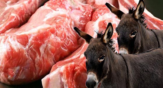 صور مقززة.. مصر تغرق بلحم الحمير وضبط اطنان منها في الاسواق  صورة رقم 6