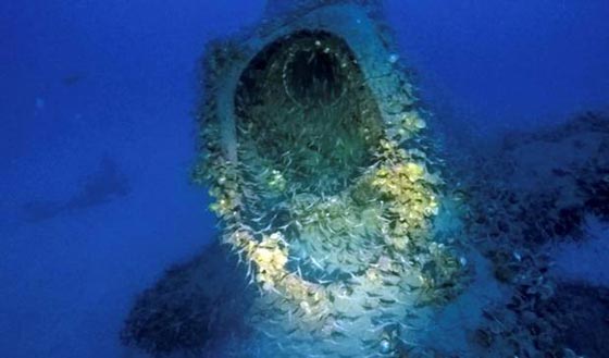 العثور على غواصة غرقت في الحرب العالمية الثانية وفيها 73 جثة  صورة رقم 1