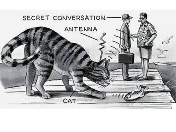 صراع الحرب الباردة وتجاربها المجنونة صورة رقم 2