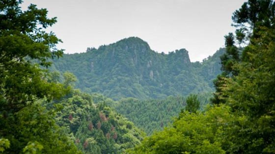 صور اماكن  من مختلف انحاء العالم يُحظر على النساء دخولها  صورة رقم 3