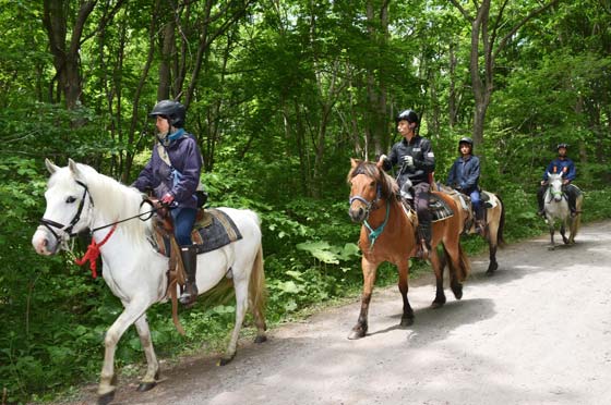 والدان يابانيان يعاقبان طفلهما بتركه للوحوش في الغابة صورة رقم 4