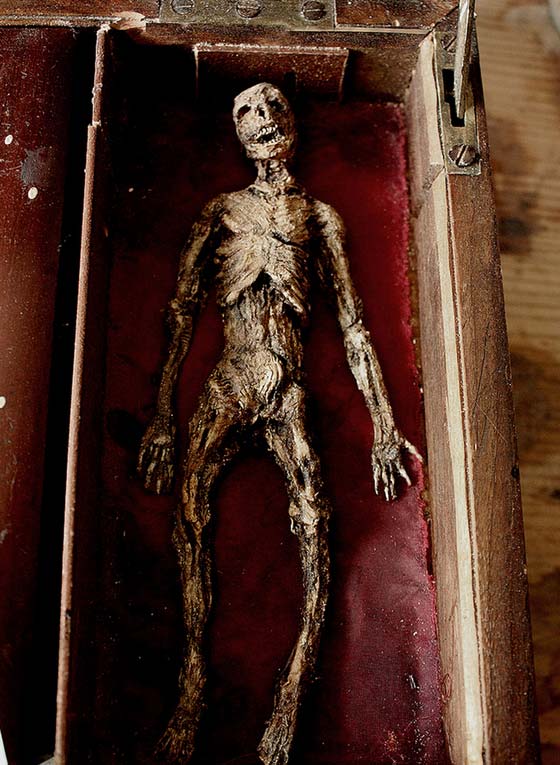 بريطاني يعثر على هياكل بشرية لها اجنحة في قبو قصر قديم.. صور صورة رقم 1