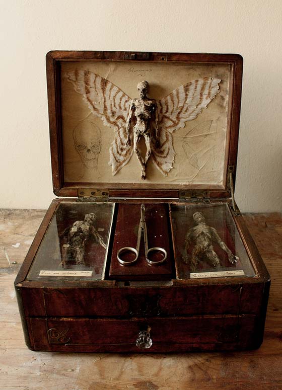 بريطاني يعثر على هياكل بشرية لها اجنحة في قبو قصر قديم.. صور صورة رقم 2