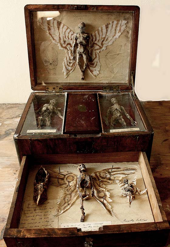 بريطاني يعثر على هياكل بشرية لها اجنحة في قبو قصر قديم.. صور صورة رقم 5