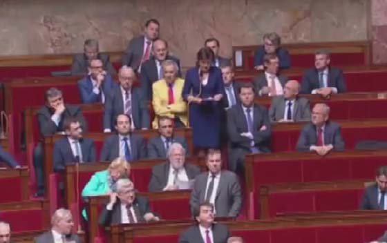 هل تدرج العربية كلغة رسمية في مدارس فرنسا؟ صورة رقم 1