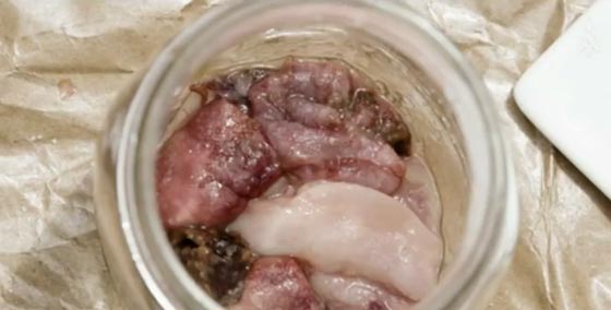 تعرف على اصل الكاتشوب.. مصدره من الاسماك وليس من البندورة! صورة رقم 3