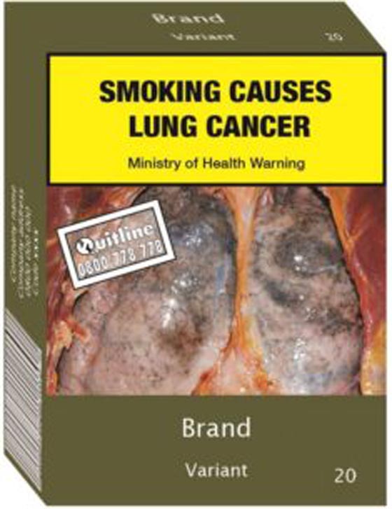 انقلاب في تعميم عبوات السجائر التي لا تحمل علامة تجارية صورة رقم 12